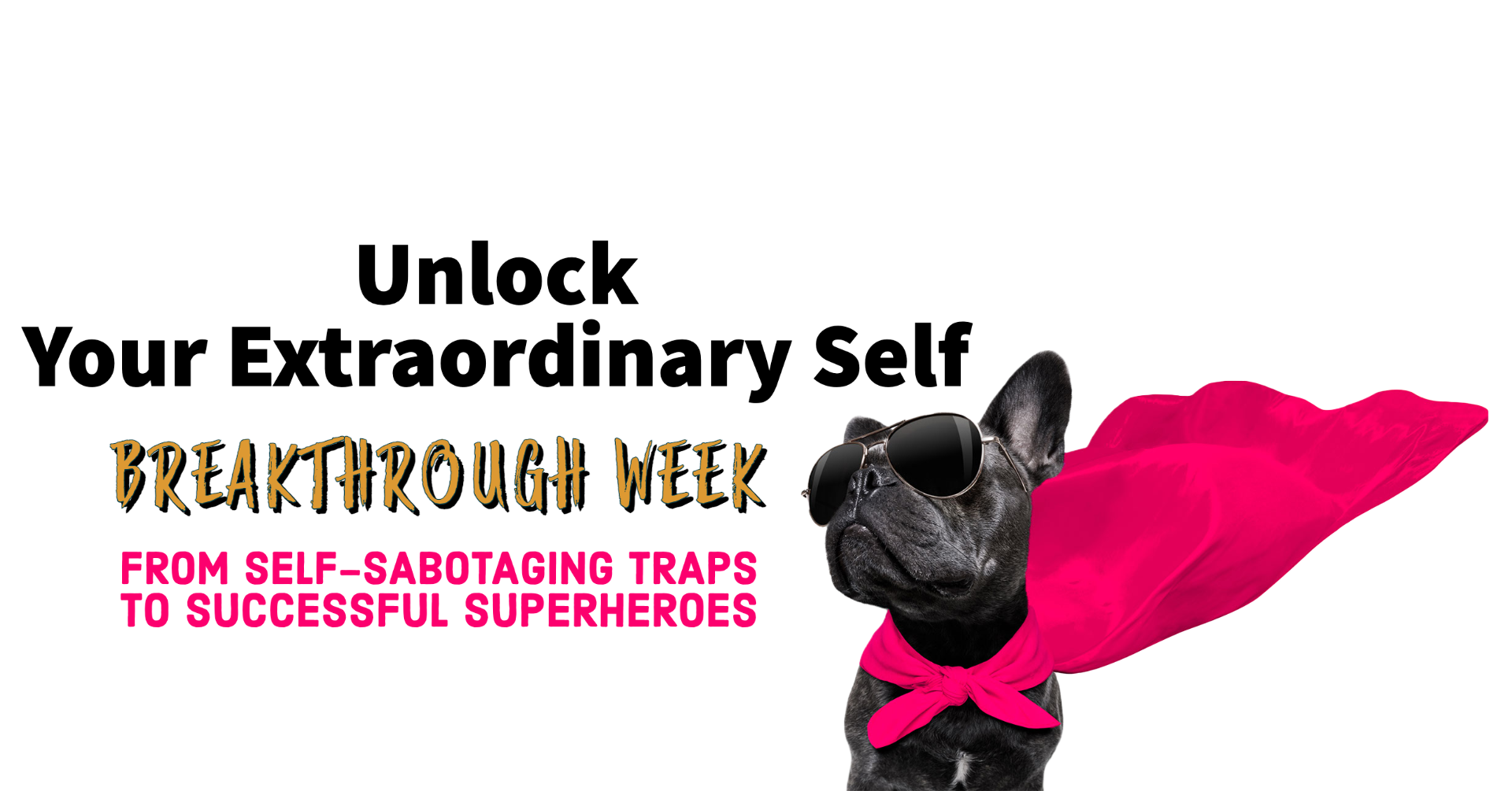 Breakthrough Week with dog transparent